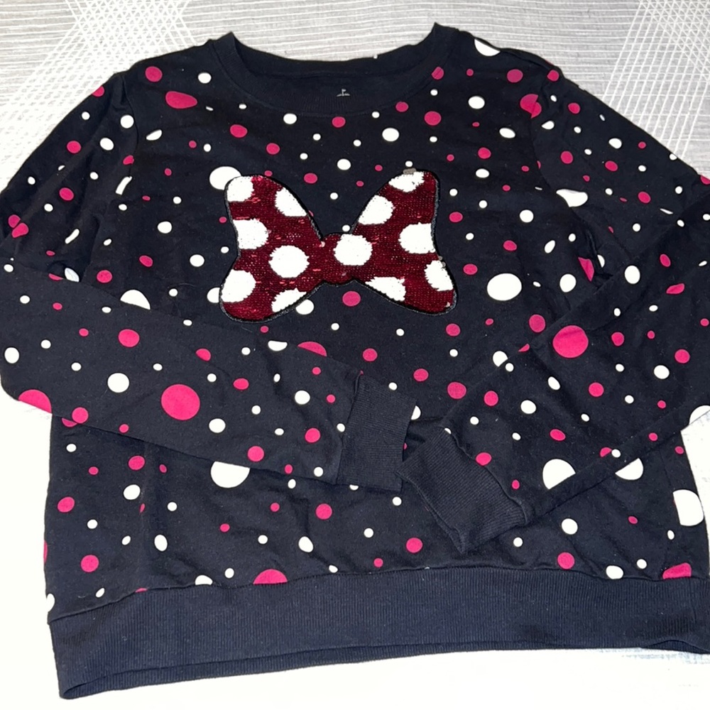 Authentic Disney Parks sweatshirt
